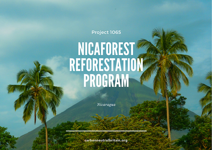 Nicaragua Reforestation Project