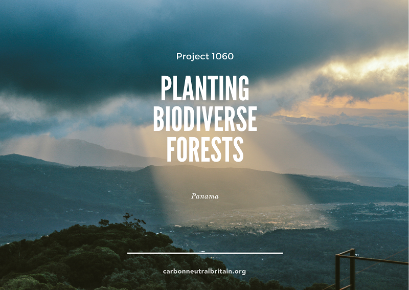 Panama Biodiversity Forest Project